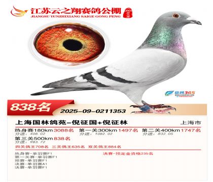 ������֮�����838��