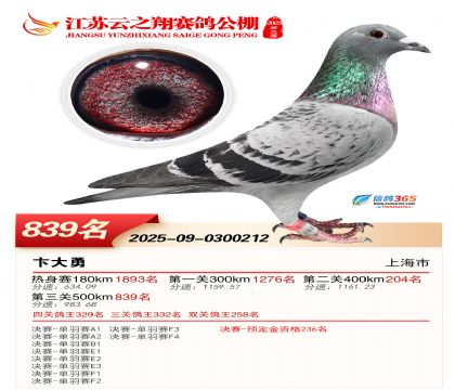 ������֮�����839��