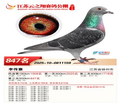 ������֮�����847��