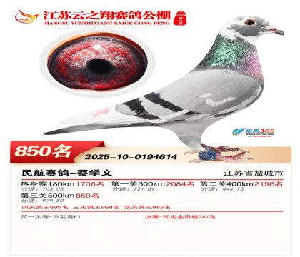 ������֮�����850��