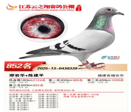 ������֮�����852��