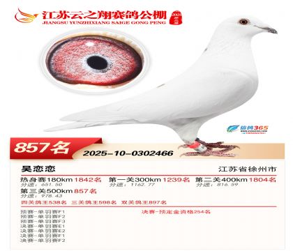 ������֮�����857��