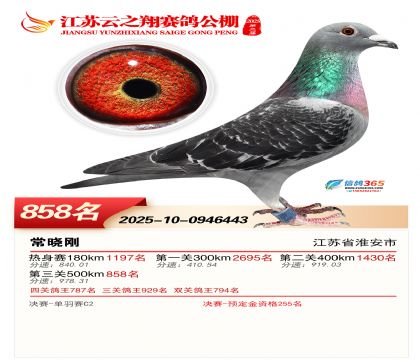 ������֮�����858��