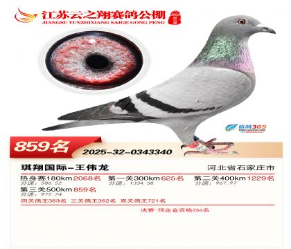 ������֮�����859��