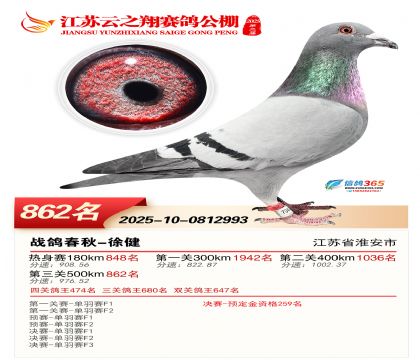 ������֮�����862��