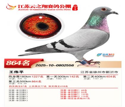 ������֮�����864��