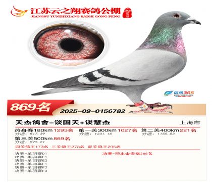 ������֮�����869��