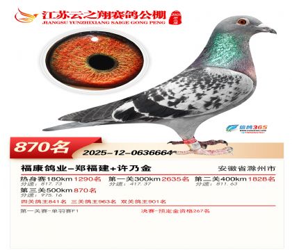 ������֮�����870��