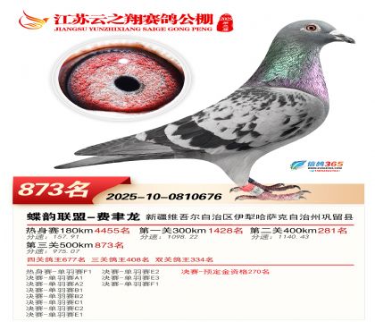 ������֮�����873��