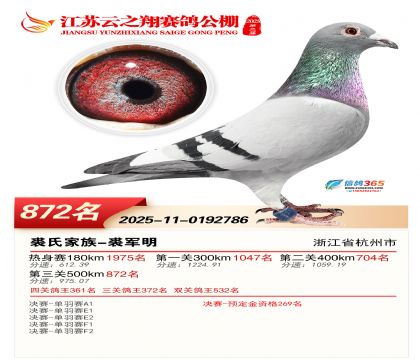 ������֮�����872��