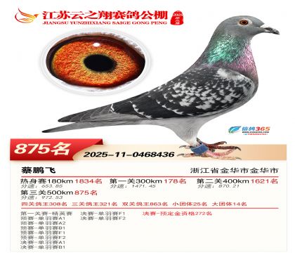 ������֮�����875��