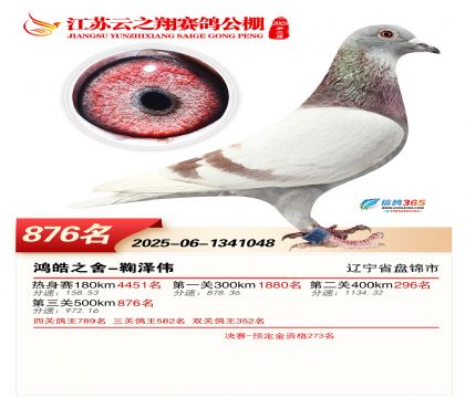 ������֮�����876��