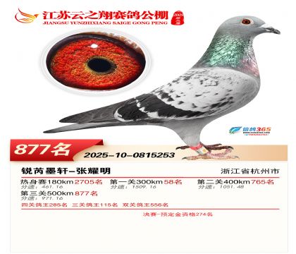 ������֮�����877��