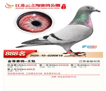 ������֮�����888��