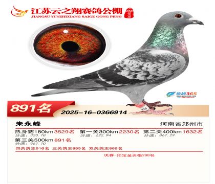 ������֮�����891��