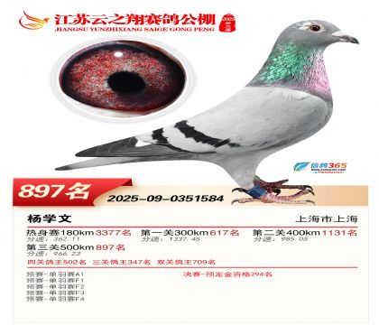 ������֮�����897��