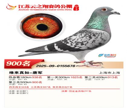 ������֮�����900��