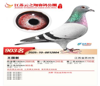 ������֮�����903��