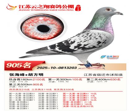 ������֮�����905��