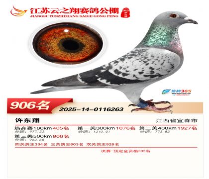 ������֮�����906��