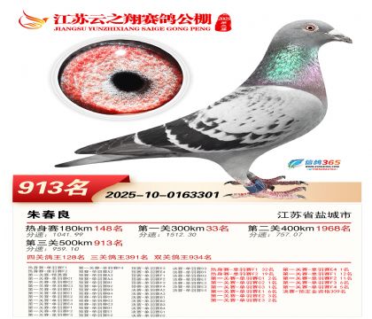 ������֮�����913��