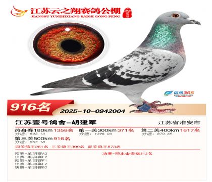 ������֮�����916��