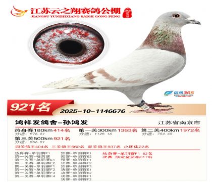 ������֮�����921��