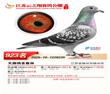 ������֮�����923��