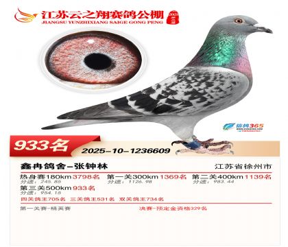 ������֮�����933��