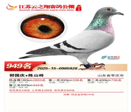 ������֮�����949��