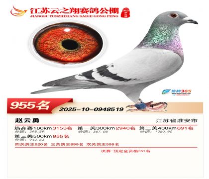 ������֮�����955��