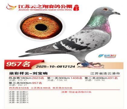 ������֮�����957��