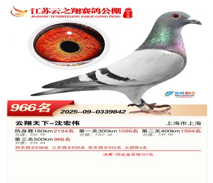 ������֮�����966��