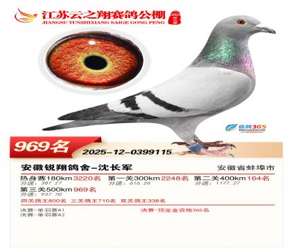 ������֮�����969��