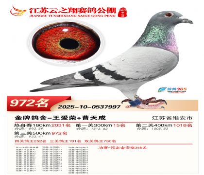 ������֮�����972��