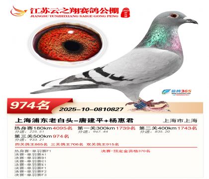 ������֮�����974��