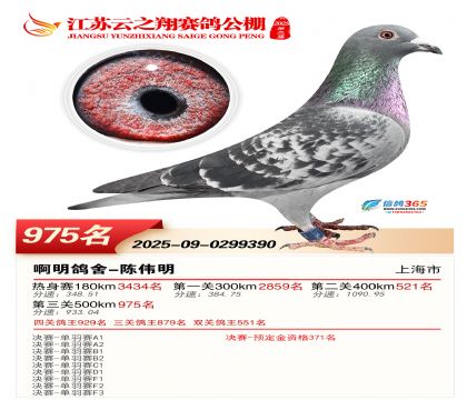 ������֮�����975��