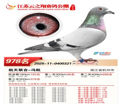 ������֮�����978��