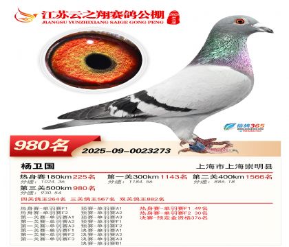 ������֮�����980��