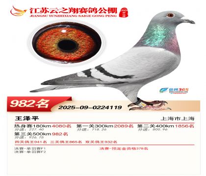 ������֮�����982��