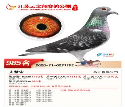 ������֮�����985��