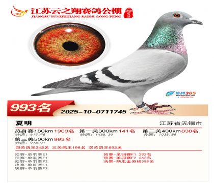 ������֮�����993��