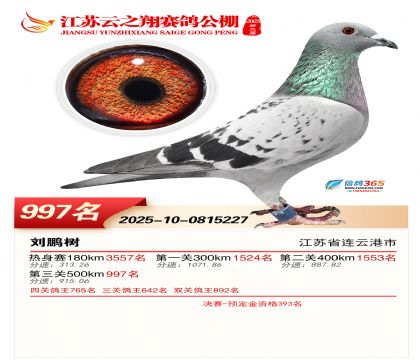 ������֮�����997��