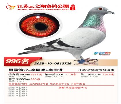 ������֮�����996��