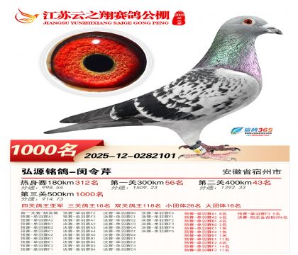 ������֮�����1000��