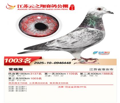 ������֮�����1003��