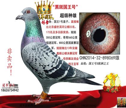 �۸븸��һ�ڰ߹���������Դͷ