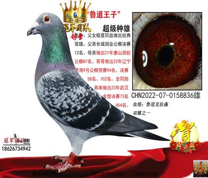 �Ƹ븸��һ³������