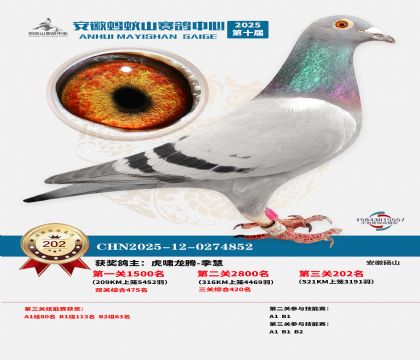 ��������ɽ����202��