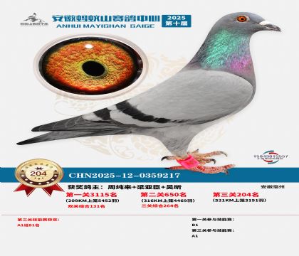 ��������ɽ����204��